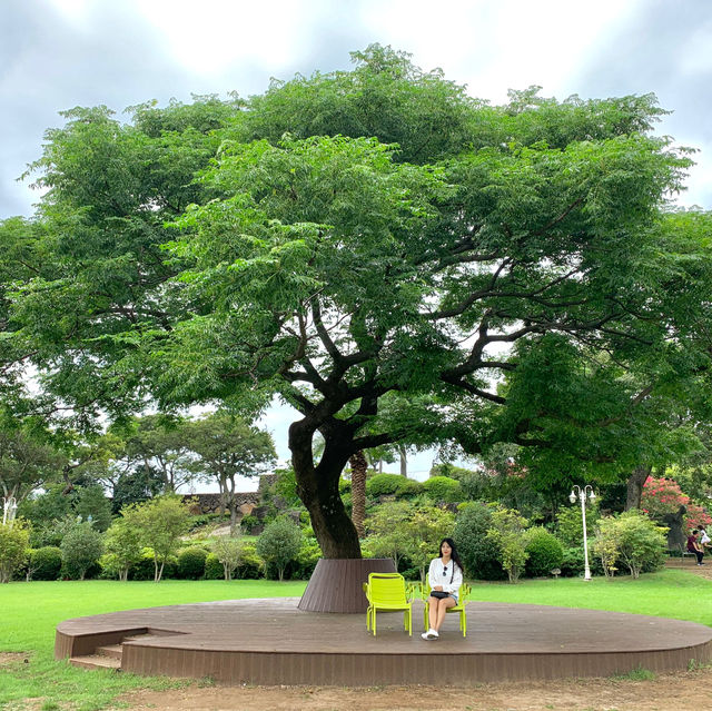 제주여행 필수코스 카멜리아 힐 🌳