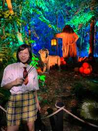 Harry Potter: A Forbidden Forest Experience