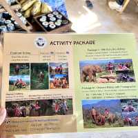清邁·最值得一去的小眾景點🐘大象咖啡廳🐘