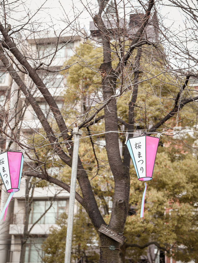 東京｜櫻花之旅 隅田公園美到窒息🌸