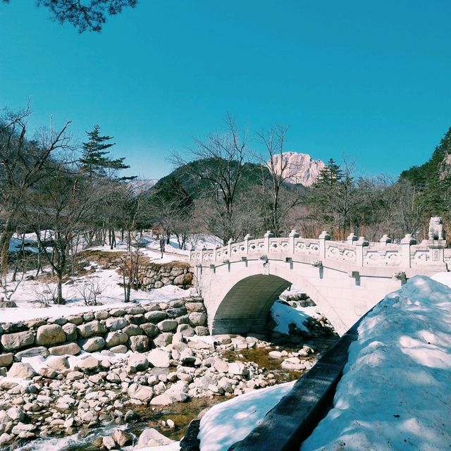 winter wonderland in south korea