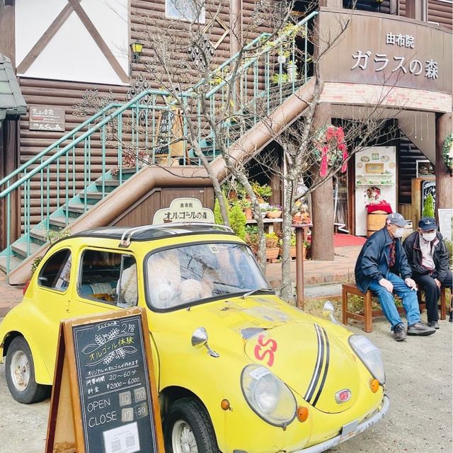 🌸Yufuin Floral Village เมืองในเทพนิยาย