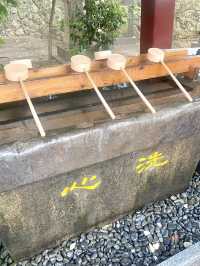 【日本沖繩】波上宮神舍⛩️離酒店路程只有五分鐘