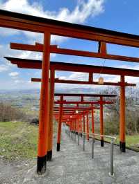 【福岡】連なる鳥居の先にある見晴らしのいい神社