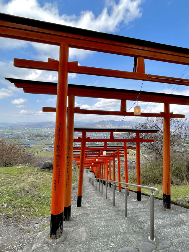 【福岡】連なる鳥居の先にある見晴らしのいい神社