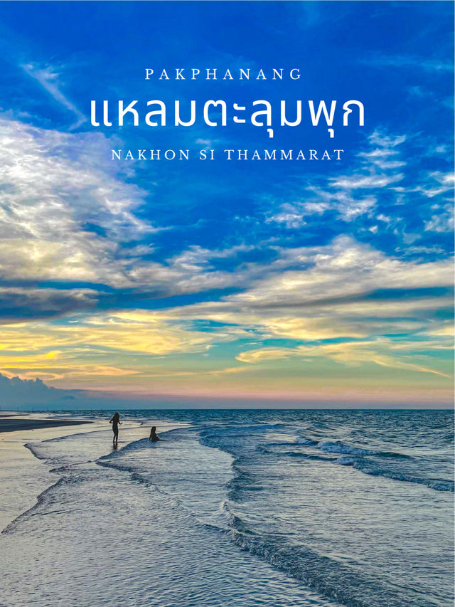 แหลมตะลุมพุก | ปากพนัง