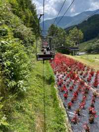 絶景避暑地　お盆でも空いてた！ヘブンスそのはら