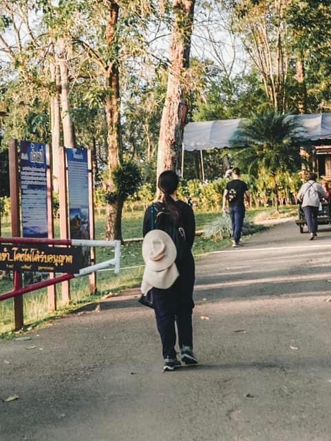 สันหนอกวัวเส้นทางเดินป่าที่จองง่ายแต่เดินยาก 
