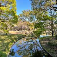 【日韓春天好去處】上田公園：絕景櫻花