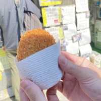 瀬戸内海に浮かぶ生口島『通称レモン島』