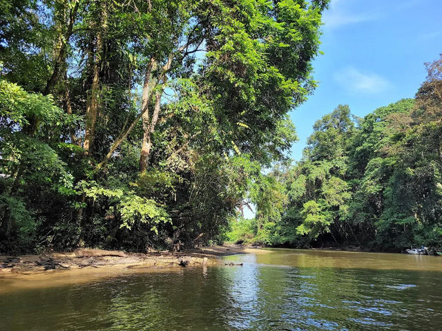 Gunung Mulu National Park