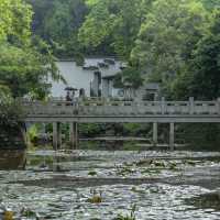 上海大觀園：江南詩意世界，清雅怡人的江南園林遺產