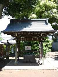 【上高田氷川神社/東京都】多様な古木に囲まれた神社