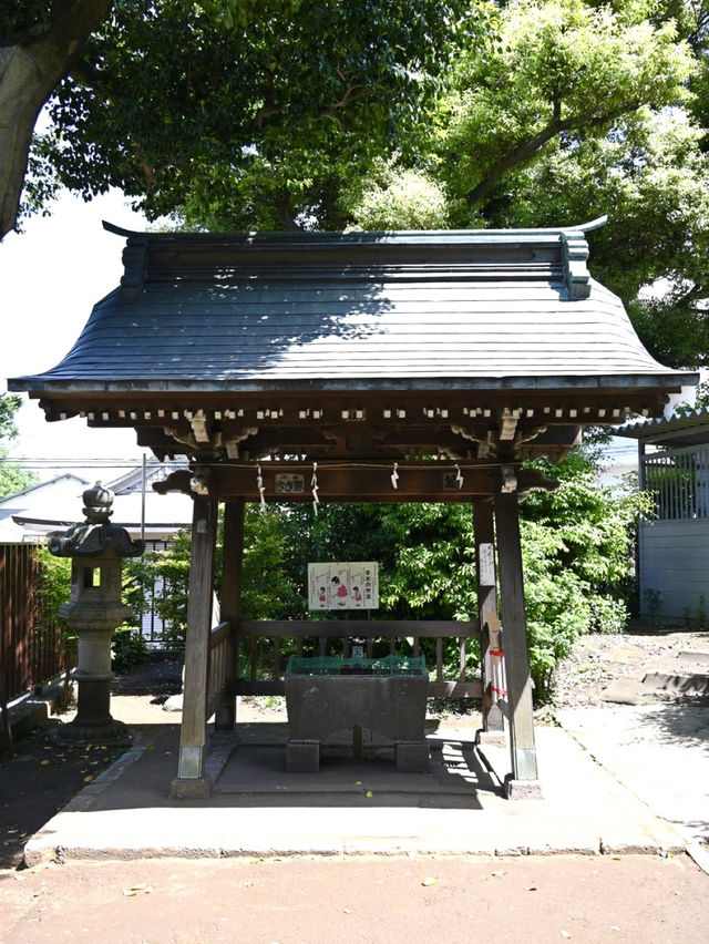 【上高田氷川神社/東京都】多様な古木に囲まれた神社