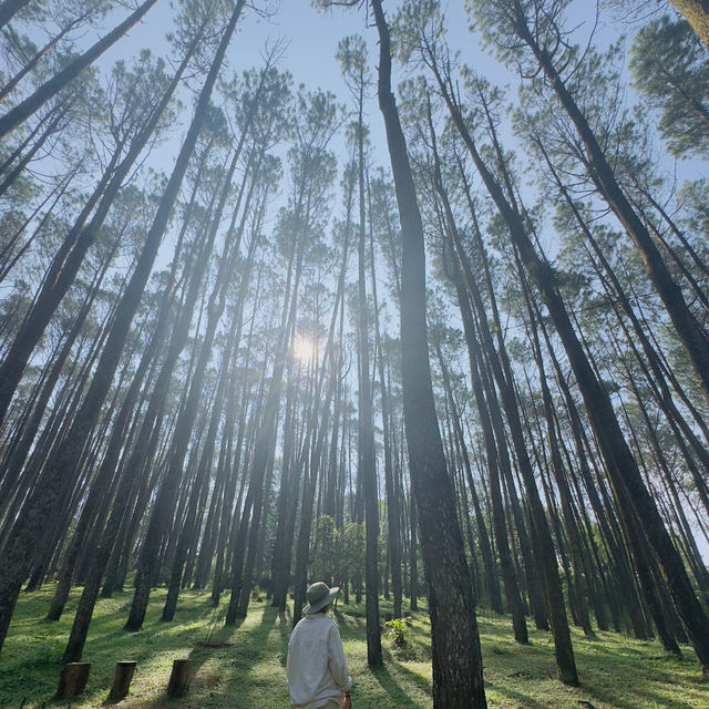 "Jogja Joys: Where Culture, Harmony, and Fun Collide!"