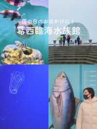 【雨の日のお出かけに☔️葛西臨海水族館🐠】