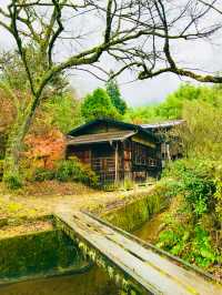 One of The Most Beautiful Villages in Japan 🇯🇵 