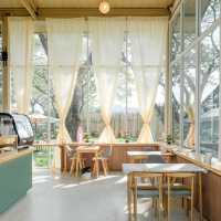 Big Tree Cafe
