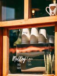 🥤Molley Coffee Stand
