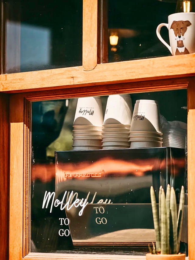 🥤Molley Coffee Stand