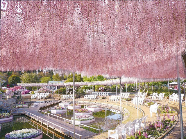 栃木縣足利花卉公園