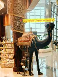 Elegant Structures Around Abu Dhabi Zayed In. Airport