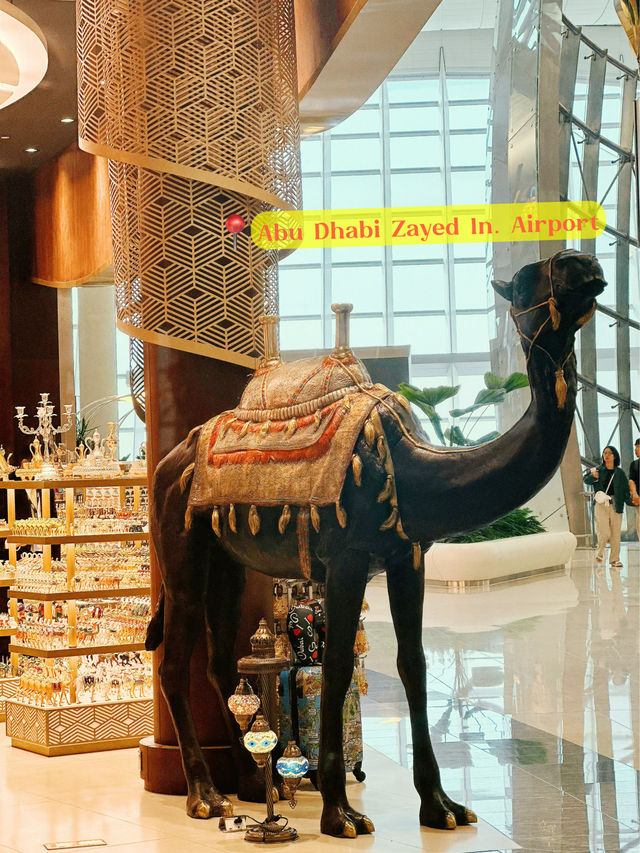 Elegant Structures Around Abu Dhabi Zayed In. Airport