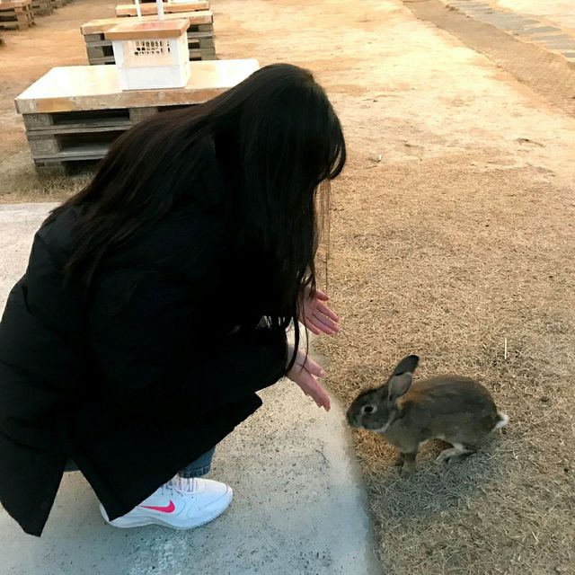 호수가 보이는 카페, 진양호마켓🌿