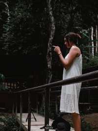 บ้านเล็กในป่าใหญ่ ….. บ้านธารชีวี