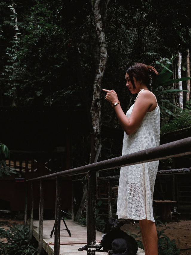 บ้านเล็กในป่าใหญ่ ….. บ้านธารชีวี