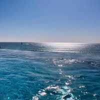 Experienced stay at Grand Josun Busan 