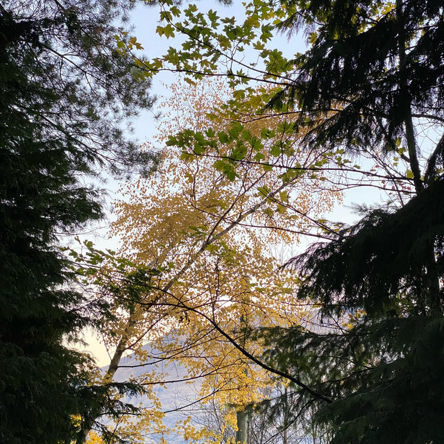 皇后鎮queenstown hill步行