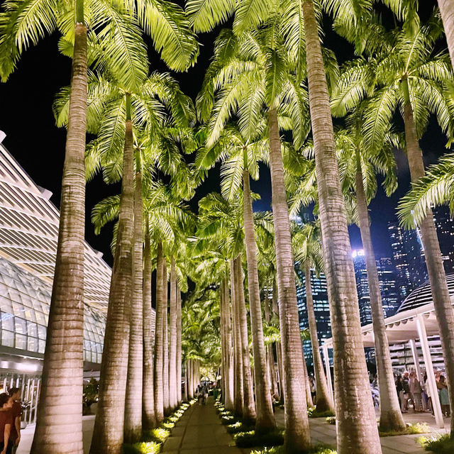 【シンガポール🇸🇬/多様な面で魅了する”マリーナベイ・サンズ”✨】