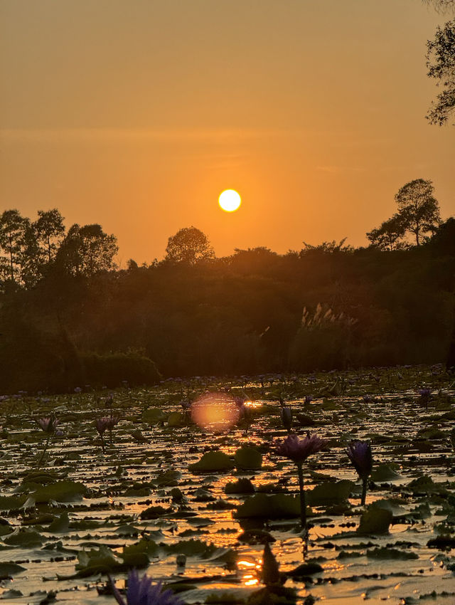 สวนพฤกษศาสตร์ | ระยอง 🚣🏻‍♂️🌳🌿☀️
