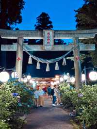【栃木】あじさい×提灯が美しい磯山神社のあじさい祭り⛩