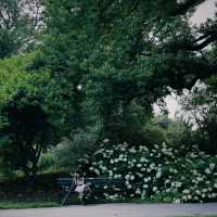 「下賀茂熱帶植物園：熱帶雨林奇景，原始自然之旅」