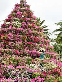 【沖縄｜沖縄市】女子旅にも子連れ旅にもおすすめ！東南植物園🌴