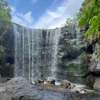 Take a breather at Mandai Wildlife WEST