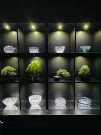 【東京都】雨の日観光にもおすすめ『アートアクアリウム美術館』