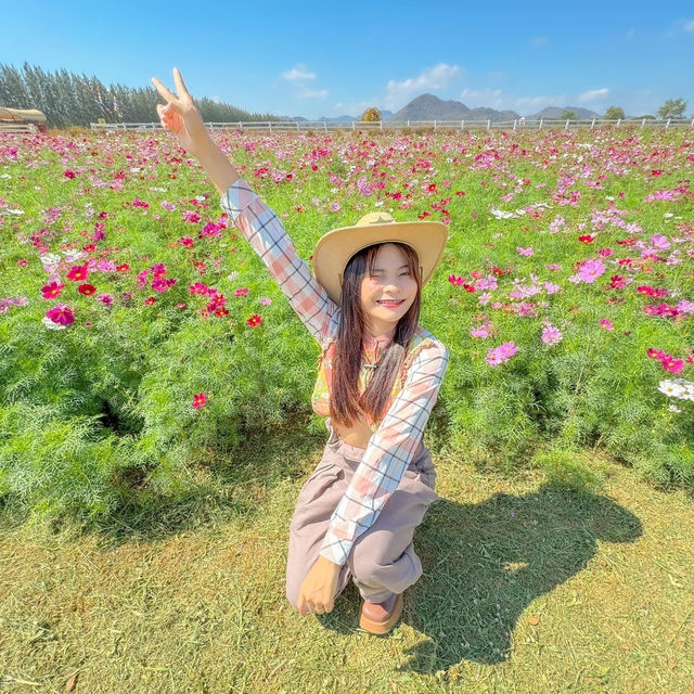 มาขับรถเที่ยว ตะลอนฟาร์มโชคชัย นครราชสีมา