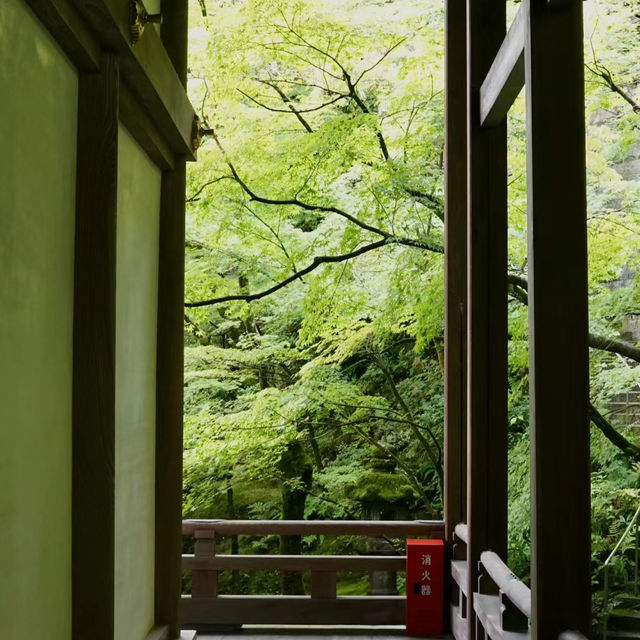 喜多院～簡約優雅，禪宗文化的寧靜美好
