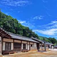 여름에 더욱 기대되는 #영월여행 다녀왔어요🌳