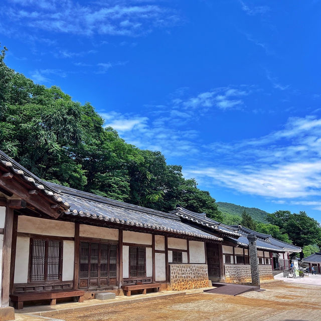 여름에 더욱 기대되는 #영월여행 다녀왔어요🌳