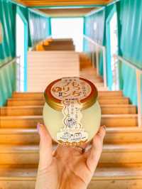 【福井】今まで食べたことない新食感の「のび〜るプリン」
