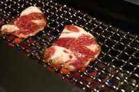 食肉獸最歡愉既時光