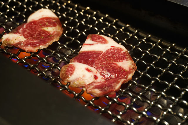 食肉獸最歡愉既時光