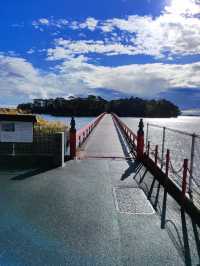 Matsushima: A Day Trip Paradise of Islands