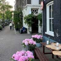 Amazing Amsterdam Street 🌷🚴♂️