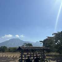 National Park Baluran (Liitle Africa)