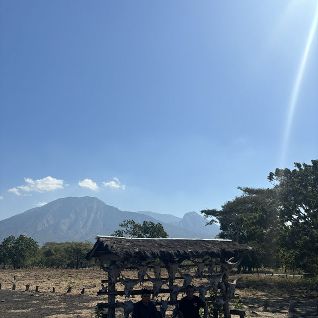 National Park Baluran (Liitle Africa)